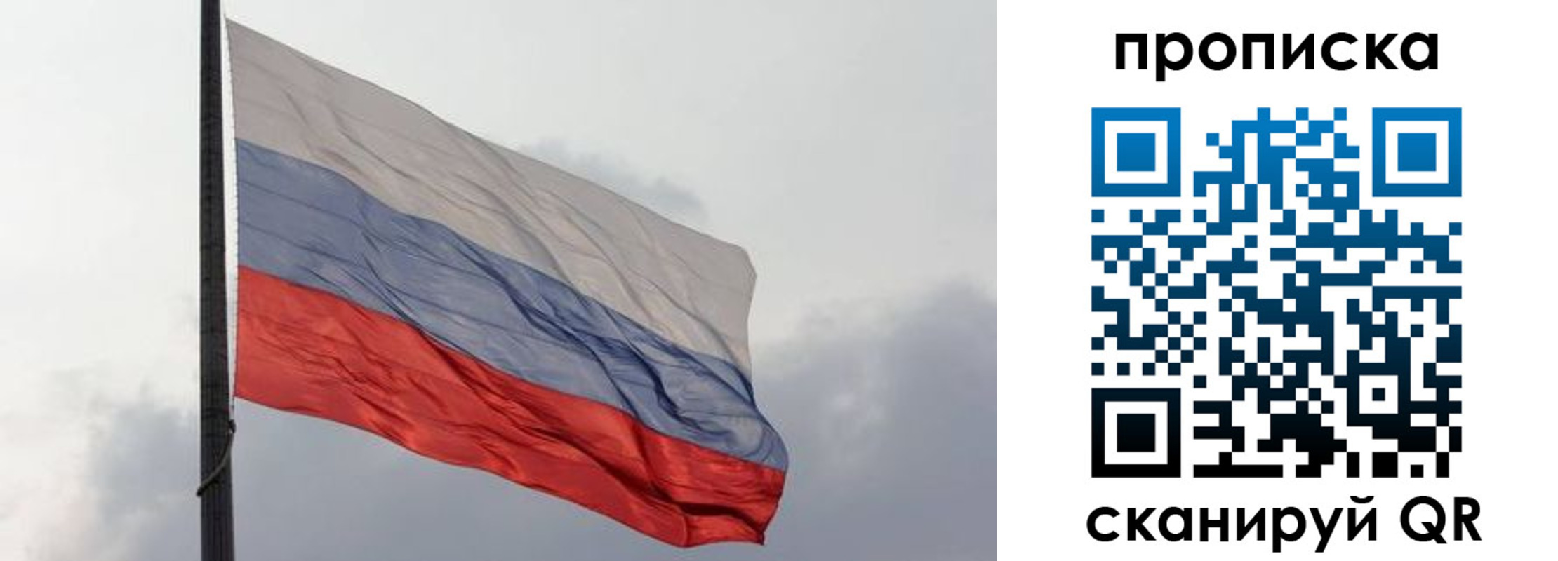 прописка в квартире в Звенигово